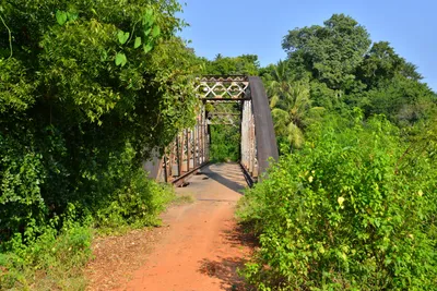 DSC_4864 (Large).JPG